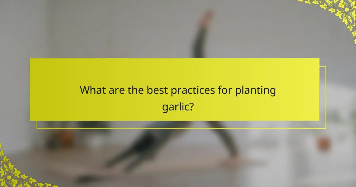 What are the best practices for planting garlic?