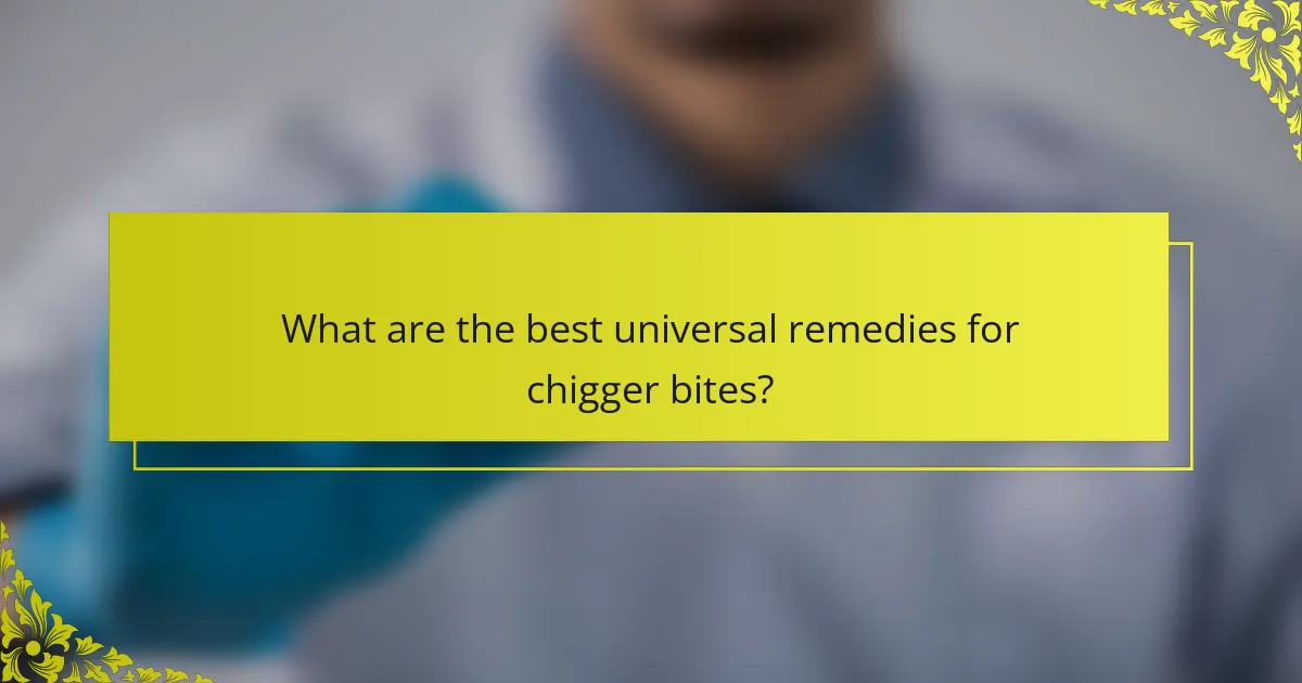 What are the best universal remedies for chigger bites?